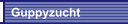 Guppyzucht